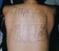 Picture for song 'Throw It up' by artist '401 Asian Boyz Gang'