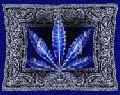 Picture for song 'Bang Yo Block' by artist '(408)Prophecy'