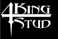 Picture for song 'Realize' by artist '4 King Stud'