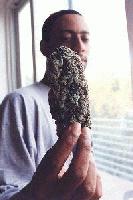 Picture for song 'smoke a blunt to this' by artist '4 Many dj's'