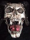 Picture for song 'THE BEAST' by artist '4SAKEN1'