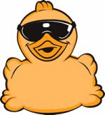 Picture for song 'Ducks On Crack' by artist '4Sight'