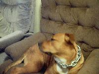 Picture for song 'Dirt Vs Milo' by artist '4th Demention'