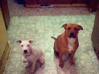 Picture for song 'Dirt Vs UnBreakable...' by artist '4th Demention'