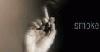 Picture for song 'Smoke Wit Me' by artist '50 G'z'