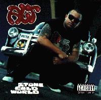 Picture for song 'Southern Cali State Of Mind (instrumental)' by artist '630 Productions'