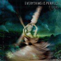 Picture for song 'everything is perfect' by artist '7 judas'