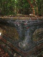 Picture for song 'Dance Along the Edge' by artist '7 lb Chrome'