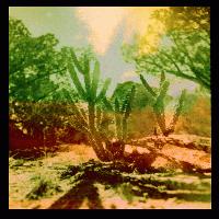 Picture for song 'Fact Is' by artist '7 lb Chrome'