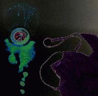 Picture for song '3 Nails' by artist '7 Scabs Of Majik'