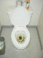 Picture for song 'I took a shit and named it Manny Theiner' by artist '8-Bit Porno'