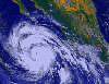 Picture for song 'Hurricane' by artist '99DollarDemos'