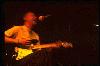 Picture for song 'She Plays Guitar' by artist '99DollarDemos'