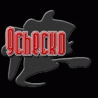 Picture for song '9CheckO vs Sinis' by artist '9CheckO'