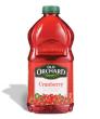 Picture for song 'Cranberry Juice' by artist 'AA-CU'