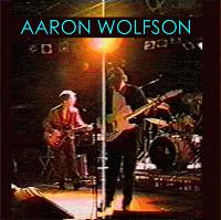 Picture for song 'YOU CAN RUN BUT YOU CAN'T HIDE' by artist 'Aaron Wolfson'