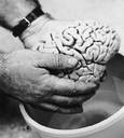 Picture for song 'Hemispherectomy (vs. Right Hemisphere)' by artist 'abaTTLESdawn'