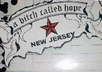 Picture for song 'iconz of rock and roll poetry' by artist 'A Bitch Called Hope'