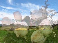 Picture for song 'Ended' by artist 'Abraksith'