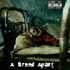Picture for song 'Crashing Down' by artist 'A Breed Apart'