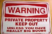 Picture for song 'Nice to know you (2004)' by artist 'Absent Minded 84'