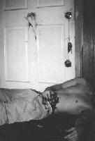 Picture for song 'A Grave For You (sample)' by artist 'Absinthe 1'