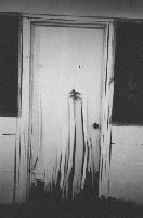 Picture for song 'Give In To Sleep' by artist 'Absinthe 1'
