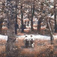 Picture for song 'Grotesque' by artist 'Accra Minoa'