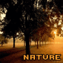 Picture for song 'Nature' by artist 'AceCream'
