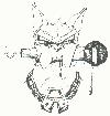 Picture for song 'REGGAE '05 (INSTR)' by artist 'Ace Dawg Productions'