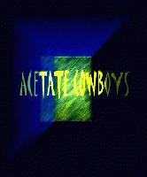 Picture for song 'DINGO' by artist 'ACETATE COWBOYS'