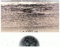 Picture for song 'falling down' by artist 'A Conspiracy of Hope'