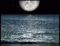 Picture for song 'the storm' by artist 'A Conspiracy of Hope'