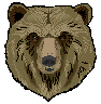Picture for song 'Living Hell' by artist 'Acoustic Bear'