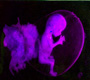Picture for song 'Cliché (hell's disco mix)' by artist 'Adam Beebe'