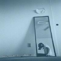 Picture for song 'dead star' by artist 'Adam Bianchi'