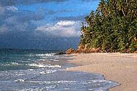 Picture for song 'Szörf' by artist 'Adam Michael'