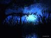 Picture for song 'Cold Night's Chill' by artist 'AdamS'
