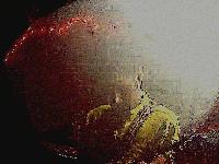 Picture for song 'I Wanna' by artist 'Adam's Needle'