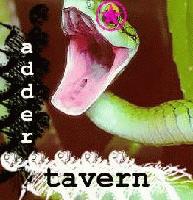 Picture for song 'adder tavern-sexy machines' by artist 'Adder Tavern'