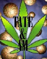 Picture for song '-=Tate & AM=-' by artist 'AdemaProductions'