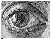 Picture for song 'Retinal Detection Shapes' by artist 'Adhesion'