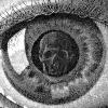 Picture for song 'Vitreous Humor' by artist 'Adhesion'