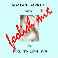 Picture for song 'Fool to love you (foolish mix)' by artist 'Adrian Barrett'