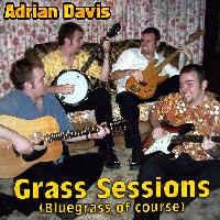 Picture for song 'The Grass, it Ain't Blue On The Other Side.' by artist 'Adrian Davis'