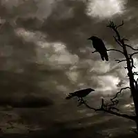 Song picture