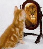 Picture for song 'AFRODIZZYAC - EXCLUSIVE FREESTYLE' by artist 'Afronomical Records'