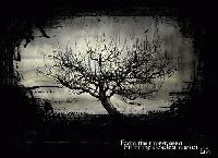 Picture for song 'This Life feat. Dark Hand Of Eden' by artist 'Air-PooL'