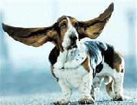 Picture for song 'Boom-Clack (Old Version)' by artist 'AJCole-lectionz'