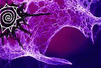 Picture for song 'Da Skins (Drum'N Bass)' by artist 'AJCole-lectionz'